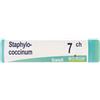 BOIRON Srl Staphylo- Coccinum 7 Ch Dose 2020