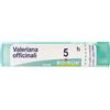 BOIRON Valeriana Officinalis 5Ch Granuli Multidose Boiron