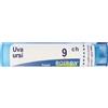 BOIRON Uva Ursina 9Ch Granuli Multidose Boiron