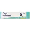 BOIRON Srl Thuya Occidentalis 5 Ch Dose 2020