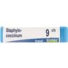 BOIRON Srl Staphylo- Coccinum 9 Ch Dose 2020