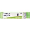 BOIRON Crotalus Horridus 5Ch Granuli Multidose Boiron