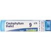 BOIRON Caulophyllum Thalictroides 9Ch Granuli Multidose Boiron