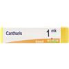 BOIRON Srl Cantharis Mk Gl