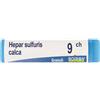 BOIRON Hepar Sulfuris Calc*9ch Gl1g