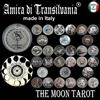Amira di Transilvania Tarocchi delle fasi lunari mazzo di carte della luna piena calante crescente libro guida oracolo libro guida della luna strega wicca moonology da collezione vintage arcani decani archetipi antichi