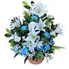 DRW Centro Fiori Artificiali Cimitero, Santos, Anniversari Rose Blu e Bianco e Lilium 50 cm Larghezza x 55 cm Altezza x 25 cm Profondità (Aprox)