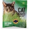 R&R SHOP - Mix di Semi di Erba Gatta, a Crescita Rapida per Un Gatto Felice, Semi Europei di Alta qualità (150gr)