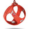 Curli Vest Harness curli Clasp Air-Mesh Sun Orange 2XS