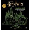 Nord-Sud Harry Potter. Magie al buio