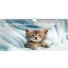 Seelenzauber Calendario per gatti in formato DIN A4, per bambini gatti e gatti 2023