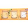 Herbal Products COFANETTO REGALO 3 MINI CANDELE ORIENTAL JAZZ