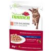 Trainer cat natural adult salmone 85 g