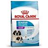 ROYAL CANIN CANE GIANT STARTER MOTHER E BABYDOG 3,5 KG termine minimo di conservazione 23/09/25