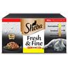 SHEBA Fresh&Fine 50x50 g Bustine di salsa di pollo, pollame e tacchino
