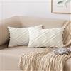 MIULEE 2 Copricuscini Stile Moderno Lussuoso Lana Quadrati per Divano Camera Da Letto Doppio 30X50 CM Crema