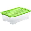 Rotho Evo Safe Keeping Scatola con Coperchio, Plastica (PP) senza BPA, Trasparente/Verde, 30 L, 59.0 x 39.5 x 18.5 cm