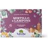 VALVERBE Tisane Mirtillo e Lampone Biologico 20 Filtri - Pacco da 6 - 180 g