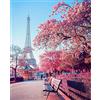 Generic Diamond Painting Kit Completo Torre Eiffel, Pittura Diamante 5D, Kit Completo di Diamanti con Strumenti di Aggiornamento, Interattivo per Adulti Bambini, Regalo per Decorazione Casa(30x40 cm)