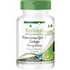 fairvital Coenzima Q10 + estratto di ginkgo biloba, 90 capsule, facili da deglutire, ALTO DOSAGGIO, CoQ10 ubichinone + ginkgo, VEGANO