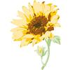 Sizzix Timbri trasparenti a strati Sizzix 6PK Sunflower Stem di Olivia Rose | 665975 | Capitolo 4 2022