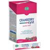 Esi Cranberry Cyst 16 Pocket Drink