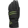 DAINESE PLAZA 3 D-DRY GLOVES Guanti Uomo