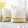Artscope - Set da 2 Fodere Cuscini Eleganti e Moderni Minimalista in Pelle Dorata con Ondulate Copricuscini per da Letto Divano Auto 40x40cm, Beige