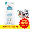 Brit Care Junior Large Grain Free Salmone e Patate - 12 Kg + Snack GRATIS!
