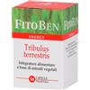 FITOBEN Srl TRIBULUS TERRESTRIS 50CPS