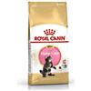 ROYAL CANIN GATTO KITTEN MAINE COON 2 KG