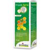 Boiron PROPOLIS SPRAY ADULTO 15 ML
