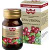 GDP Srl-GENERAL DIETET.PHARMA Uva Ursina Winter® 30 Capsule Vegetali