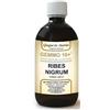 DR.GIORGINI SER-VIS SRL Gemmo 10+ Ribes Nero - Integratore Tonico e Depurativo - 500 ml