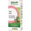 BOIRON SRL UVA URSINA ESTRATTO IDROALCOLICO 60 ML INT