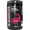 Anderson Xamin Aminoacidi essenziali 312 gr