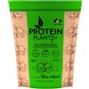 INTERNATIONAL SPORT NUTRITION PROTEIN PLANT B+ HAZELNUT 4+ NUTRITION 700G