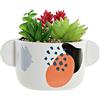 Home Decor Pianta decorativa Dkd bianco PVC Dolomita (17 x 12,5 x 14 cm)