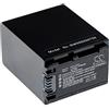 vhbw Batteria compatibile con Sony FDR-AX33, FDR-AX40, FDR-AX45, FDR-AX53, FDR-AX60, FDR-AX700, FDR-AXP33 videocamera camcorder (2700mAh, 7.3V)