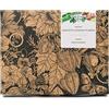 Magic Garden Seeds Piante protette - set regalo di semi con 3 specie di fiori selvatici a rischio di estinzione nell'ambiente naturale
