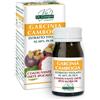 VIS GIORGINI SER-VIS Dr. Giorgini Garcinia Cambogia Estratto Titolato 60 Pastiglie