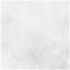 Verdelook Telo Velo per la Protezione Delle Piante Inverno Bianco 17gr 1.6x5