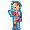 HAPE E1635 PUZZLE CORPO UMANO
