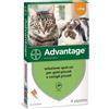 Bayer Advantage 40mg - Soluzione Spot On per Gatti e Conigli piccoli 4 x 0,4 ml