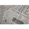 LEONE Tovaglietta journal polipropilene rettangolare cm 30x45 (minimo 12 pezzi)