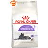 Royal Canin Cat Regular Sterilised 7+ - Sacco da 3,5 kg