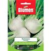 Blumen finocchio romanesco