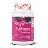 Optima Naturals, Echinacea Veg, 30 cps