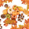 DOJoykey Cojoy DOJoykey Set di decorazioni per il ringraziamento 70 pezzi, foglie di acero artificiali, zucca raccolta, ghiande piccole, pigne per la decorazione della festa domestica in autunno e Halloween