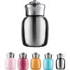 AYES Mini thermos da 200 ml, graziosa bottiglia d'acqua, in acciaio inox, isolata sottovuoto, a prova di perdite, mantiene caldo e freddo, per casa, all'aperto, viaggi, taglia unica, colore argento